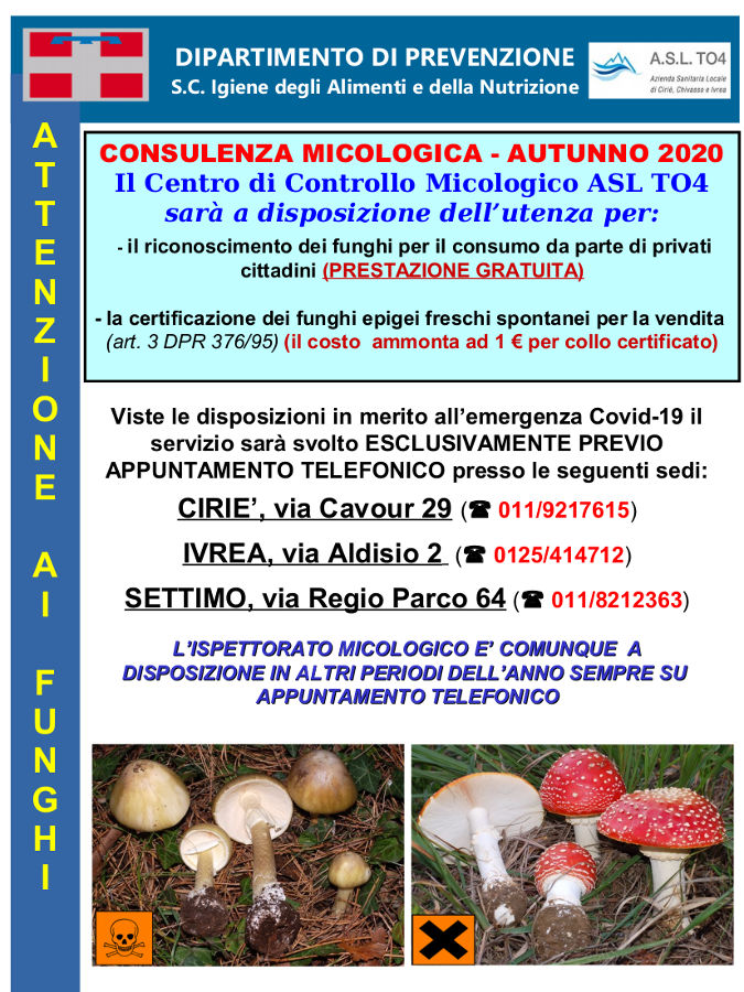 Consulenza micologica - autunno 2020  - Farmacia Santa Cristina